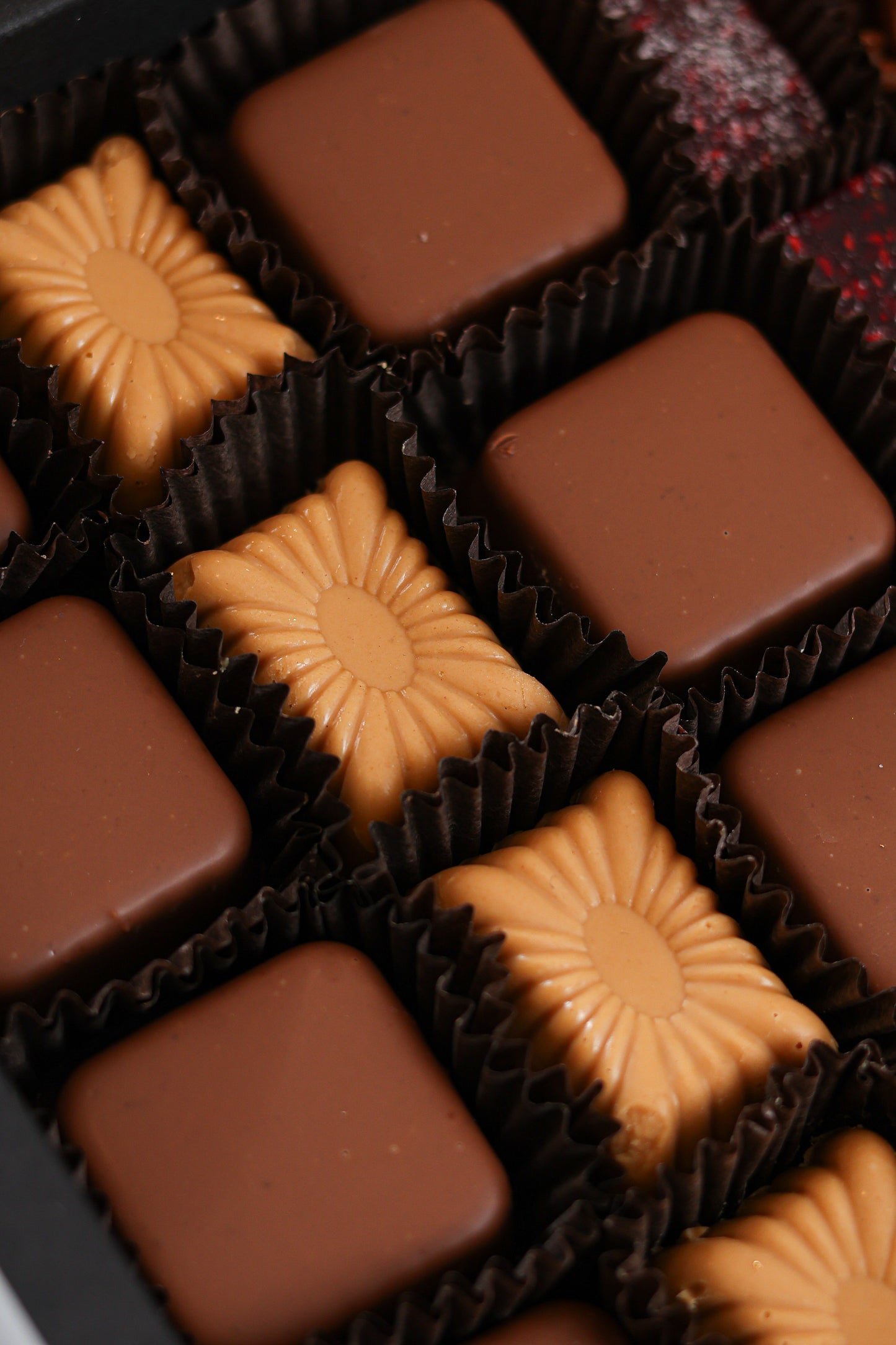 Xocolatl's Fine Bites
