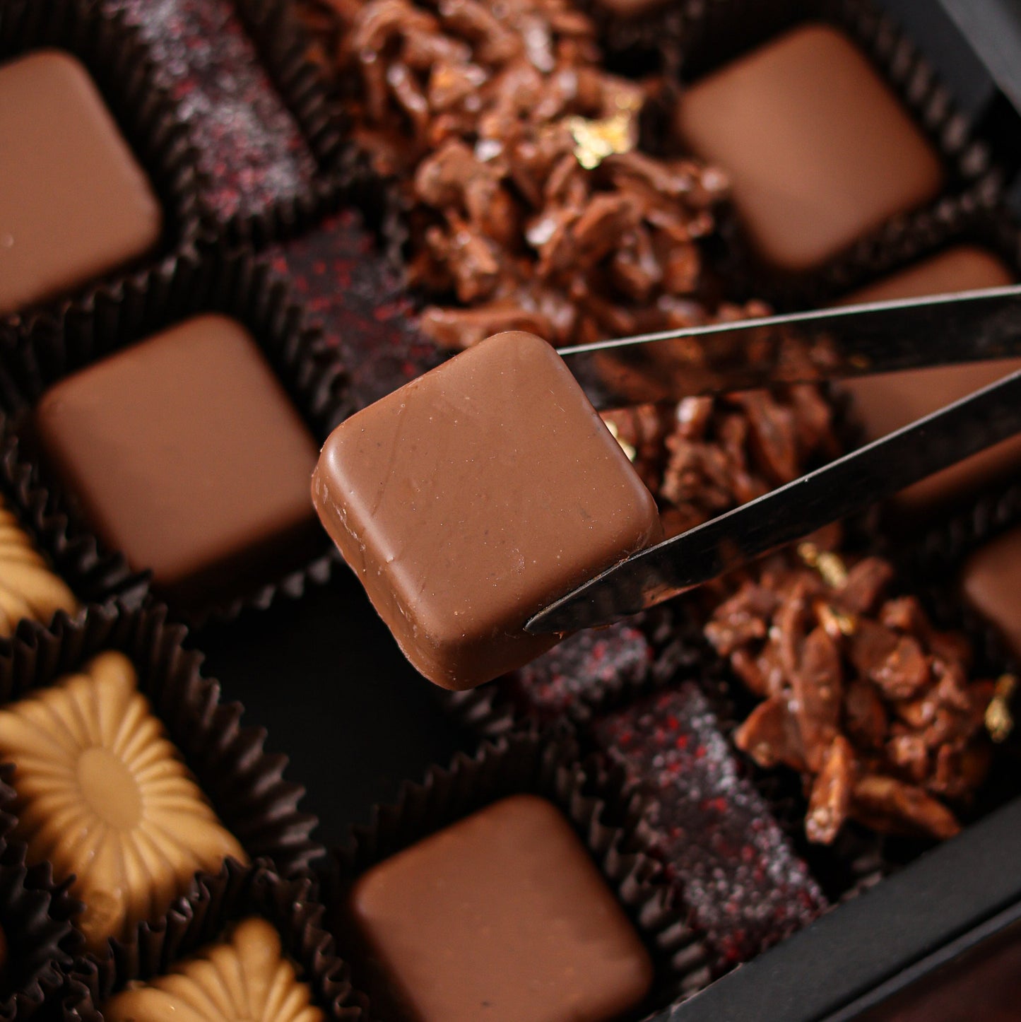 Xocolatl's Fine Bites