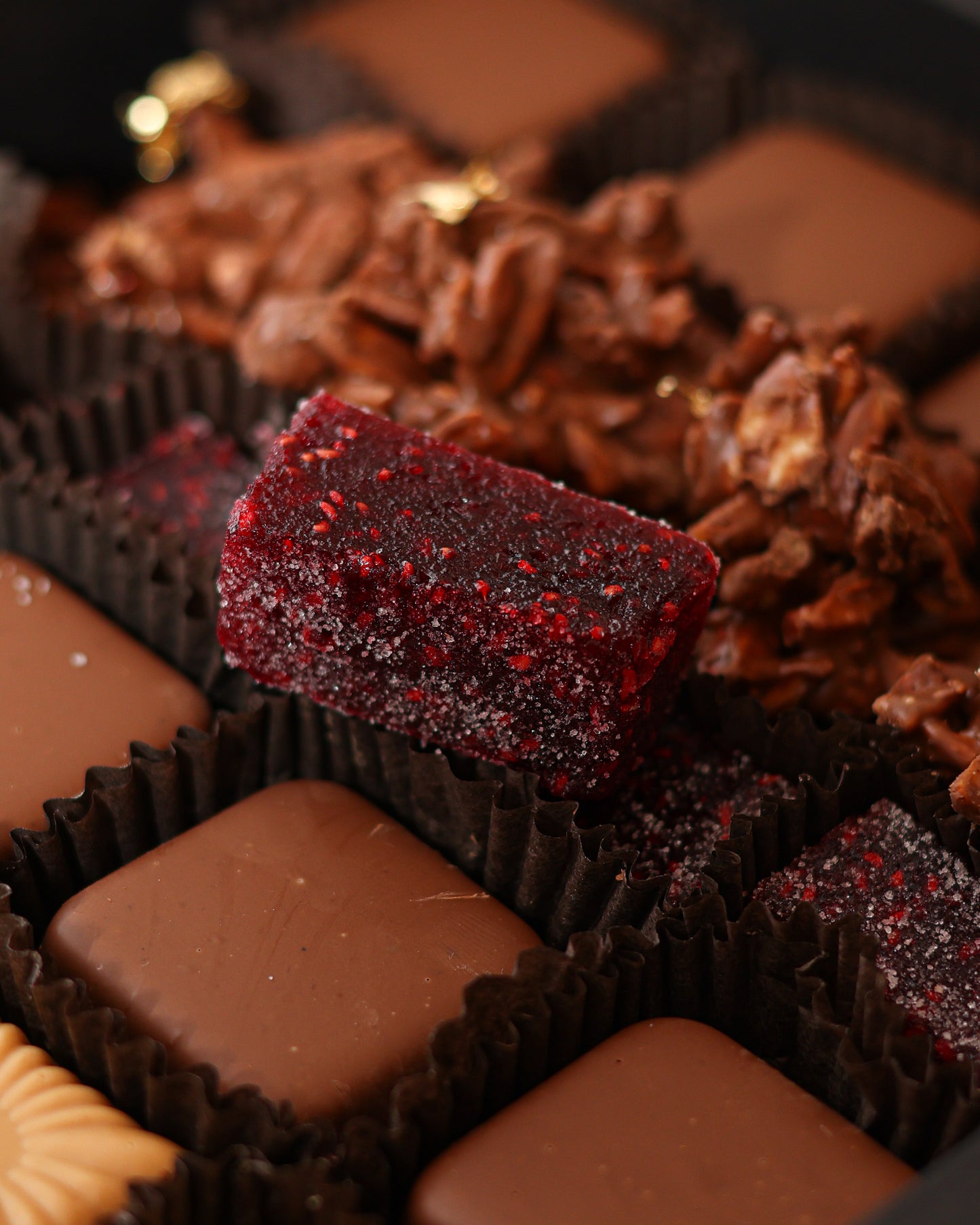 Xocolatl's Fine Bites